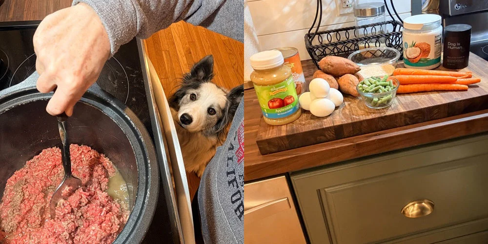 A real-life story of food, flourishing, and finding what works 🐾