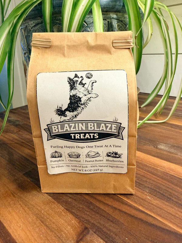 Blaze's Pumpkin PB Blueberry Treat